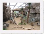 Dierentuin Burgers  Zoo 087 * 3648 x 2736 * (5.47MB)